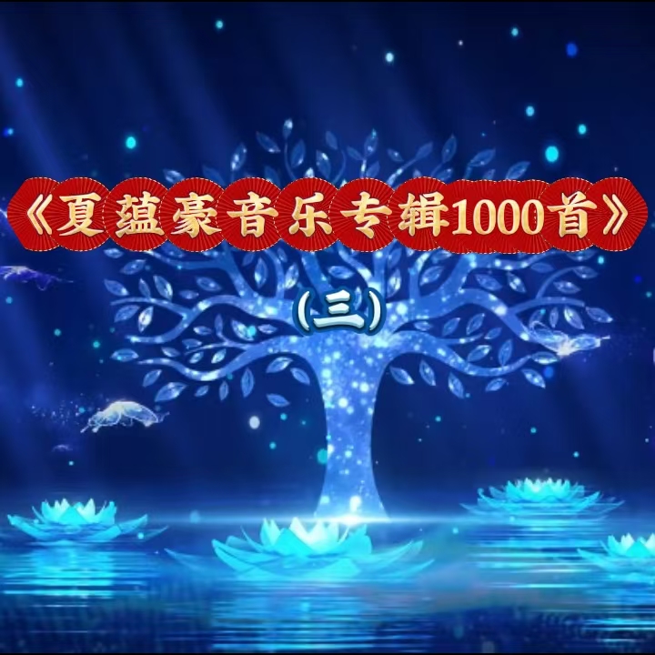 夏蕴豪音乐专辑1000首（三）